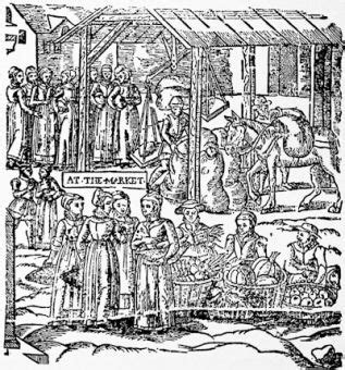 Tudor Economic Expansion and Monopolies 